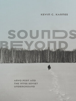 cover image of Sounds Beyond